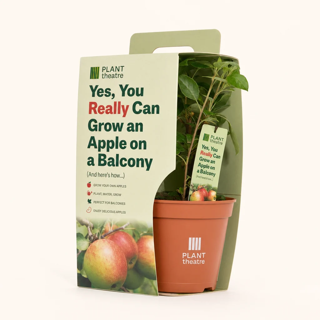 Yes, You Really Can Grow an Apple on a Balcony
